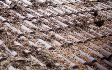 Cadney roof cleaning companies