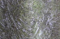 Cadney fibreglass roof work